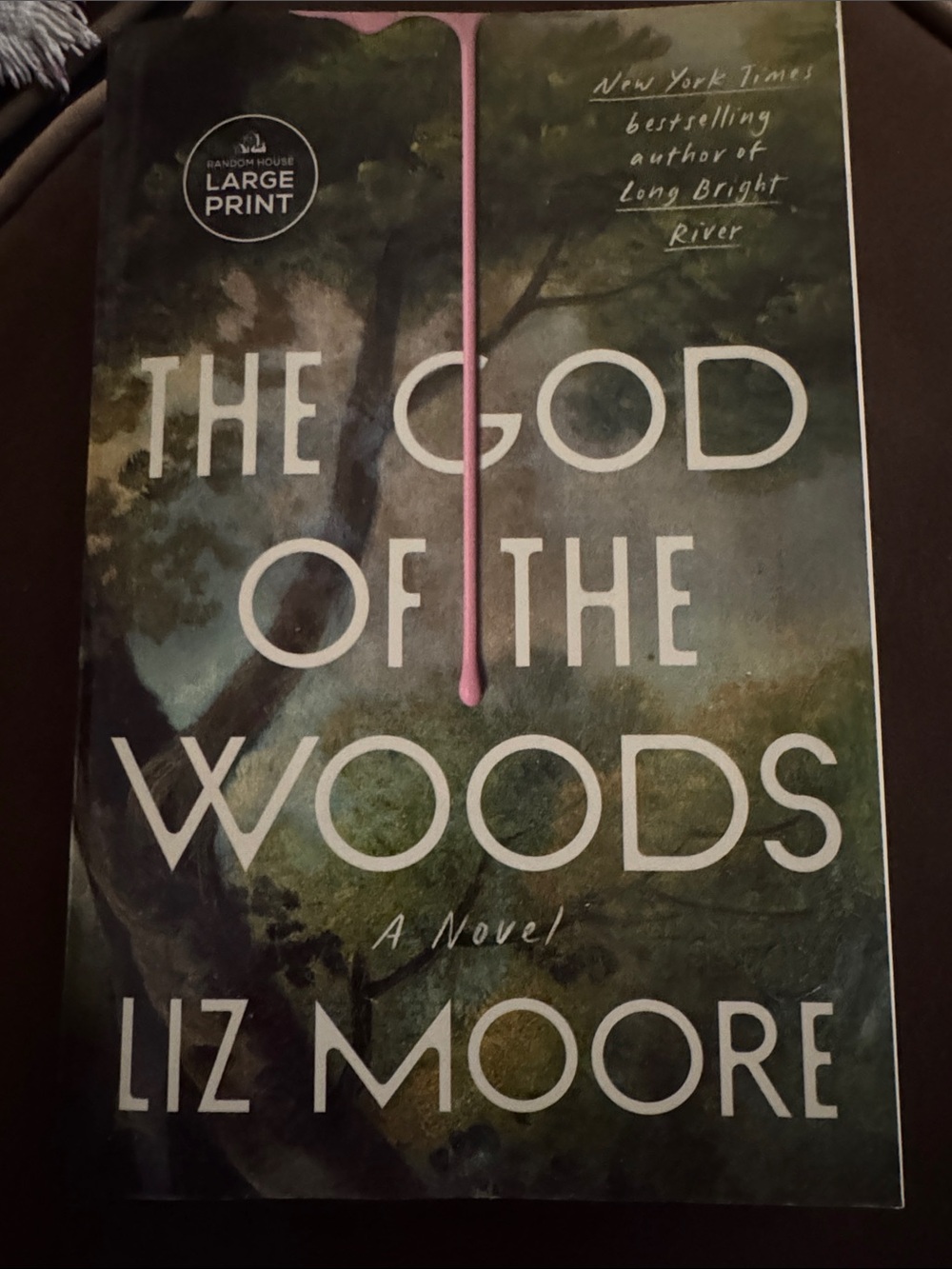 The God of the Woods - Large Print